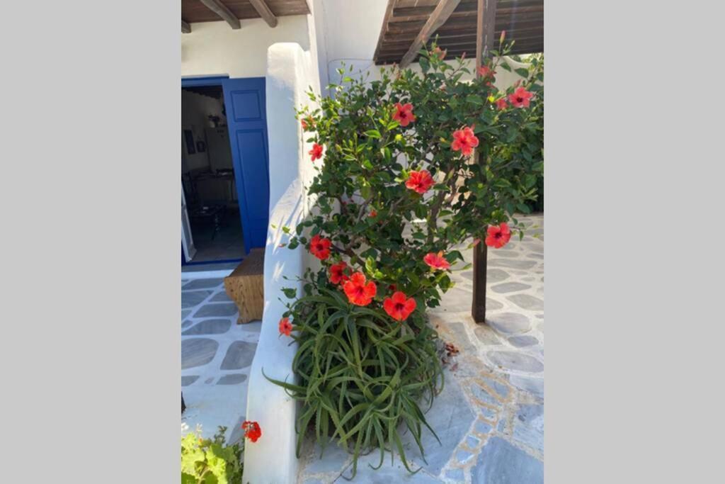 Mykonos Town Pigeon House Ornos Beach מראה חיצוני תמונה